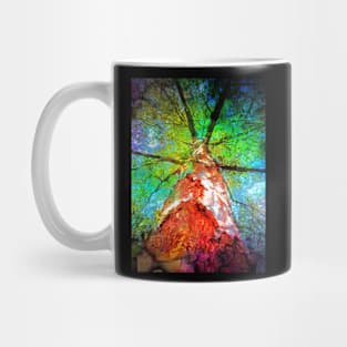 Birch Tree Looking Up Mug